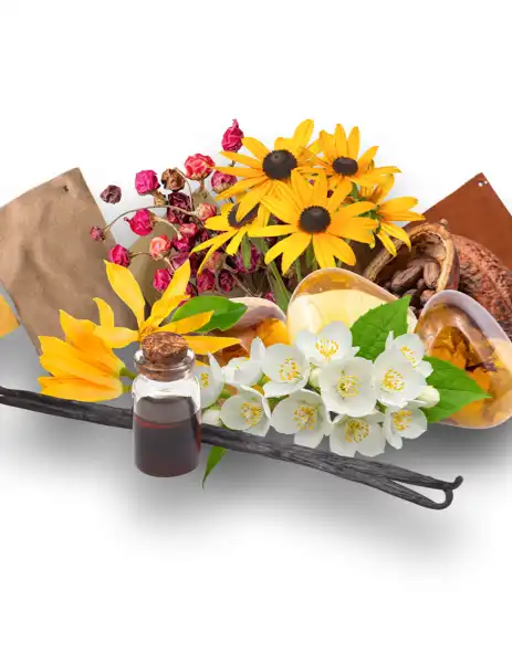 Sugared Suede Clean Fragrance - Clean Fragrances